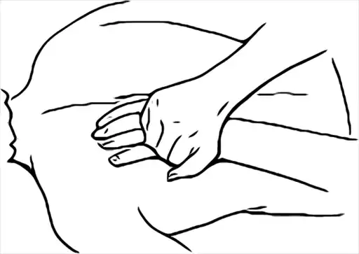 2 � 1. ������. ������ ����������� + ����������� ����� ����. ������ ����������.