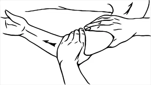 2 � 1. ������. ������ ����������� + ����������� ����� ����. ������ ����������.