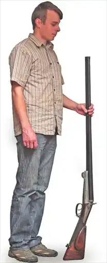 �������� 2010.
