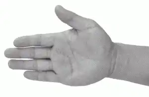 ���� �� 12 ������.