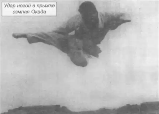 Становление Кёкусинкай. Путь к «сильнейшему» каратэ. «БОЖЕСТВЕННЫЙ КУЛАК». ОЯМА МАСУТАЦУ. Божественный кулак Масутацу Ояма.