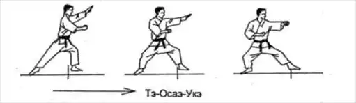 Глава 8. Укэ — блокирование ударов. Часть 2. ТРЕНИРОВКА ОСНОВНЫХ ПРИЕМОВ. Динамика каратэ.