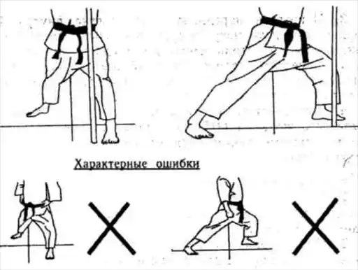 Глава 1. Стойка и положение (поза). Часть 1. ОСНОВНЫЕ ПРИЕМЫ. Динамика каратэ.