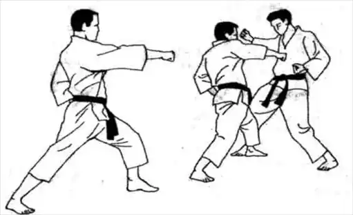 Глава 5. Теория и практика цуки (удары кулаком, подобные уколу меча). Часть 2. ТРЕНИРОВКА ОСНОВНЫХ ПРИЕМОВ. Динамика каратэ.