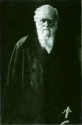 Древо познания.