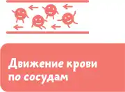 ������� ������������ ���� ������� �������.