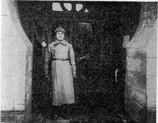 Голова Медузы Горгоны.