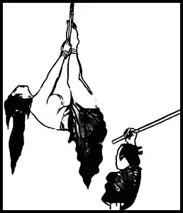 ����� �������� �����������.