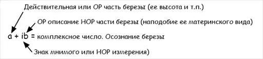 ��������� ��. ����� ����� ������� � �����������.