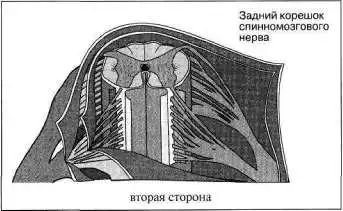 Лабиринты мышления или учеными не рождаются.