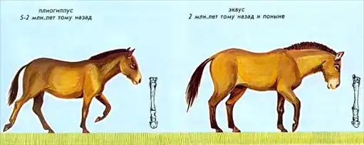 ������.