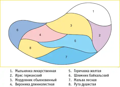 Лекарственные растения вашего сада.