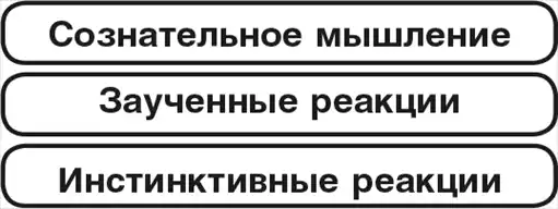 ������ ������.