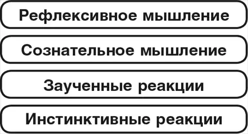 ������ ������.