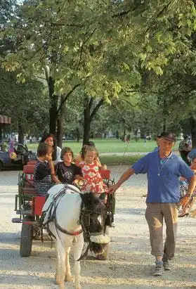 �����. ������������.
