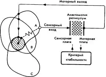 Мозг фирмы.