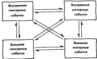 Мозг фирмы.