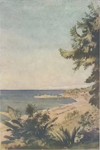 ��� ������ ������.