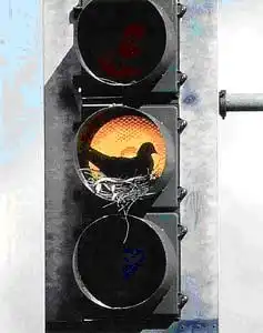 ���� � �������-2003.