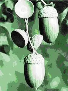���� � �������-2003.