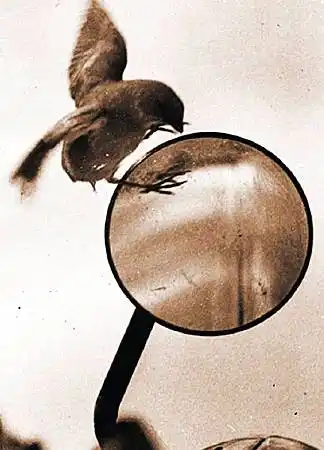 ���� � �������.