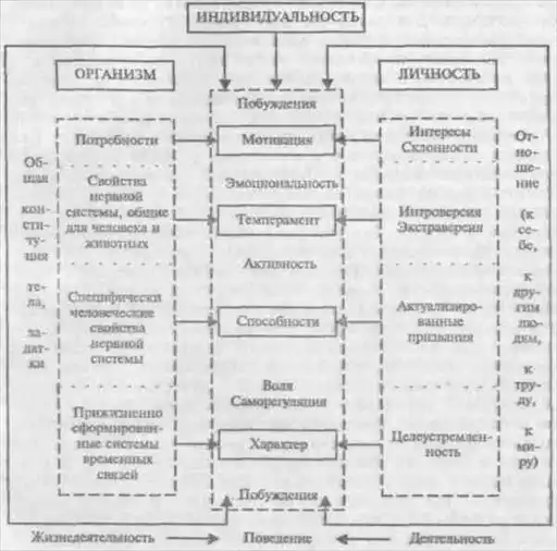 Основы психологии.