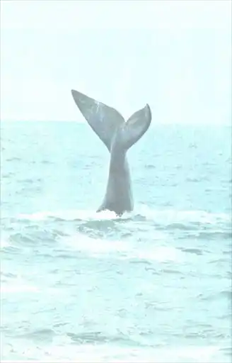 �� ����� �� ������� ������.