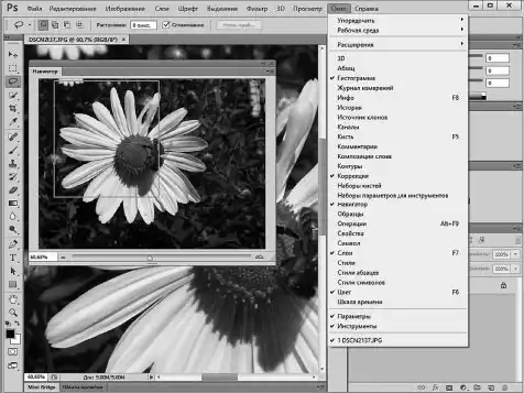 Photoshop для начинающих.