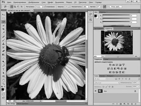 Photoshop ��� ����������.