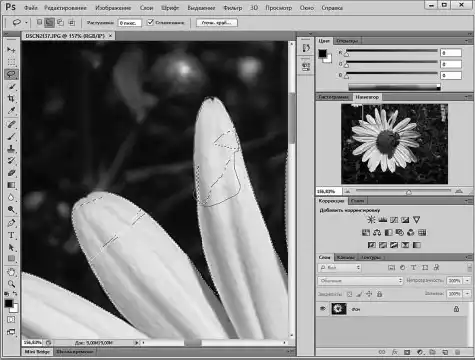 Photoshop ��� ����������.