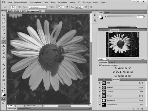 Photoshop ��� ����������.