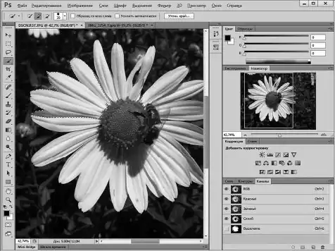 Photoshop для начинающих.
