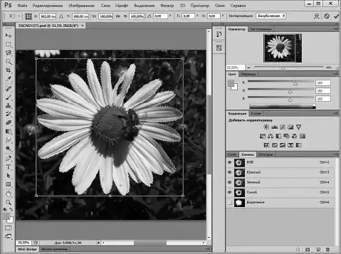 Photoshop ��� ����������.