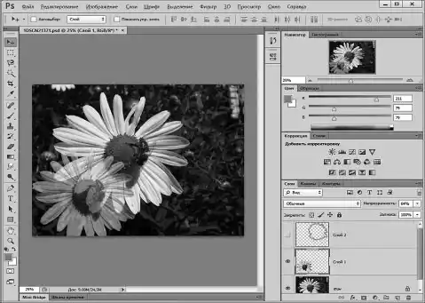 Photoshop ��� ����������.