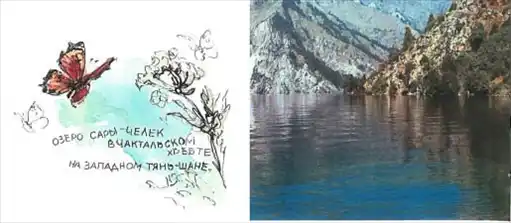 ����� ������.