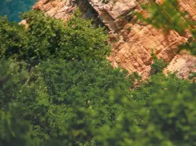 ������ � ��������.