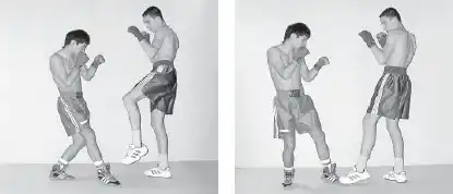 ����������� ����.