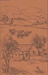 Среди Йоркширских холмов.
