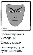 Стресс-серфинг. Стресс на пользу и в удовольствие.