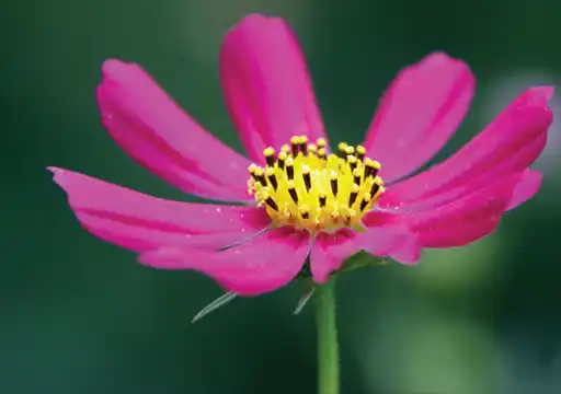 �������� ���������� �� � �� �.