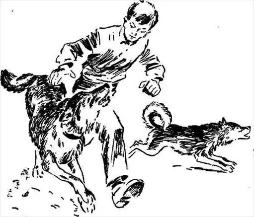 Вне закона.