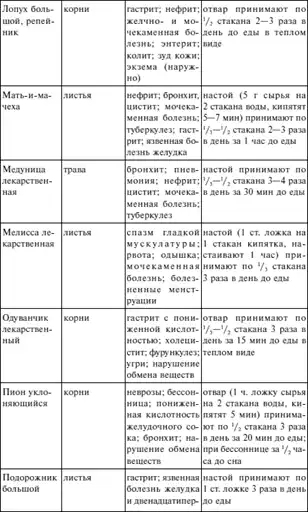 Вода – источник здоровья, эликсир молодости.