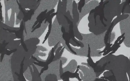 ���� �����.