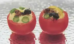 ������������� �����: ����������� � ������������ �����, ������� ���� ����