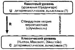Большое, малое и человеческий разум.