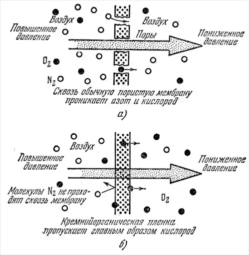 Беседы о бионике.