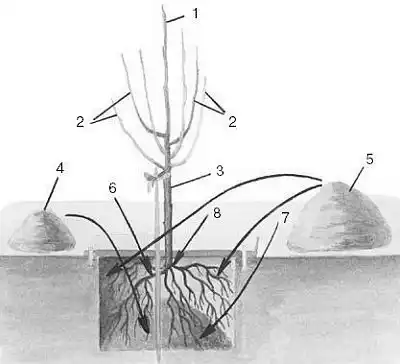 �������.