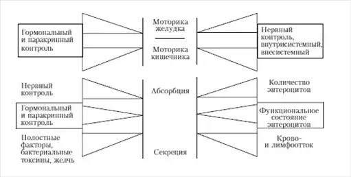 Диетология: Руководство.