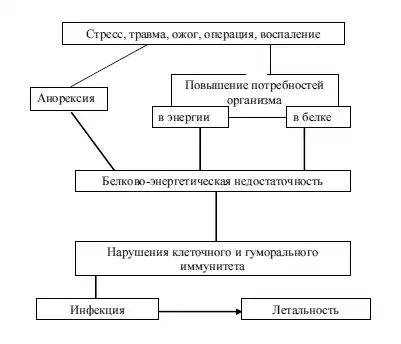 Диетология: Руководство.
