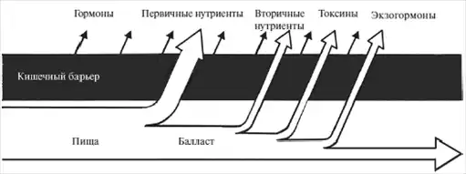 Диетология: Руководство.